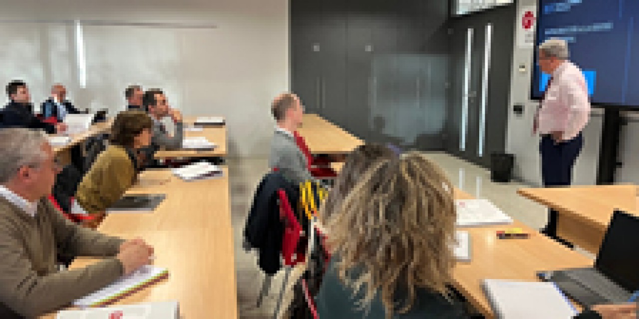 Com analitzar i interpretar un balanç i un compte de resultats