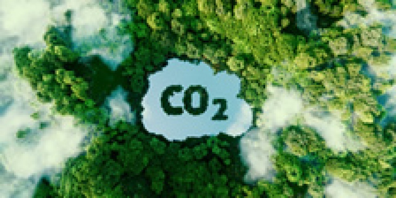 Cálculo de la huella de carbono